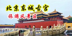 欧美性爱台湾妹子狠狠的干中国北京-东城古宫旅游风景区